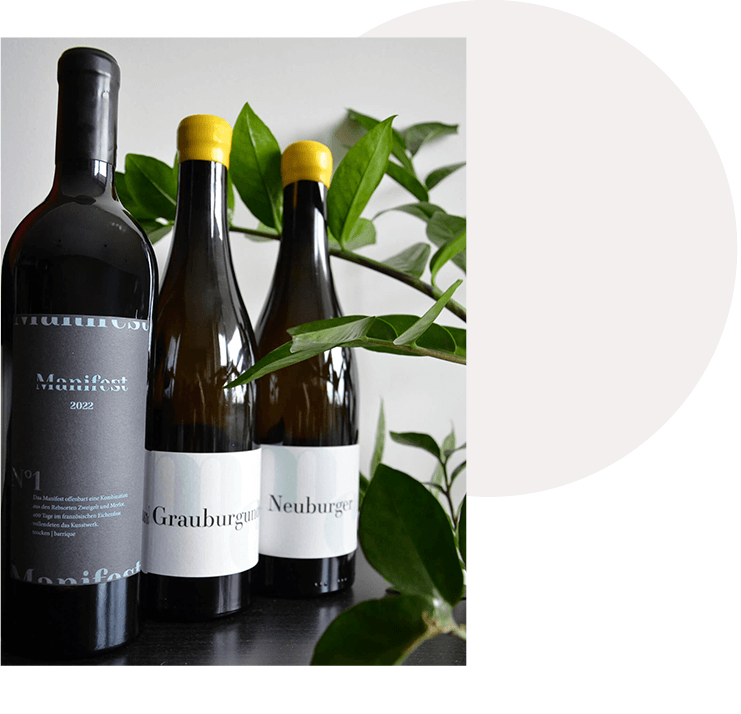 Foto der 3 Weine: Manifest, Grauburgunder und Neuburger mit grünen Pflanzen